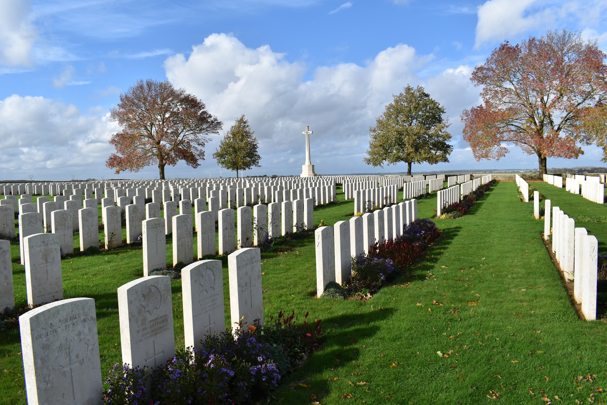Volunteer team member at Meeting Creek Cemetery